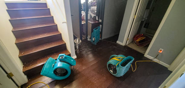 Best Sewage cleanup and water damage restoration  in Diamond Bar, CA