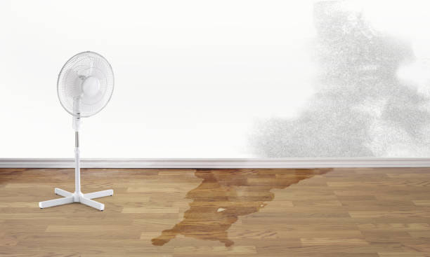 Best Local water damage restoration  in Diamond Bar, CA