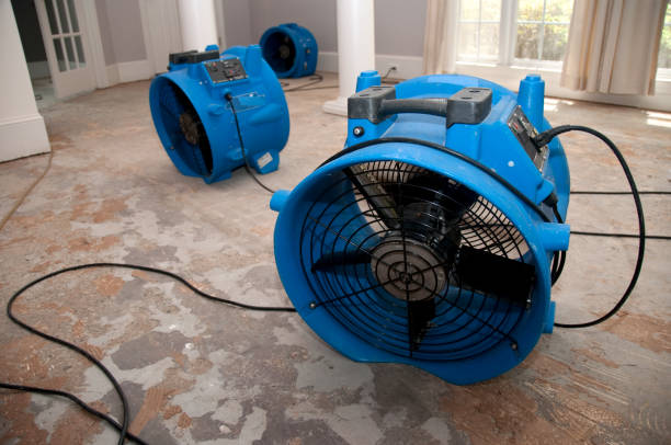 Best Professional water damage repair  in Diamond Bar, CA