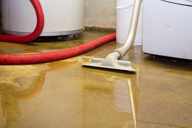 Best 24-hour water damage restoration  in Diamond Bar, CA
