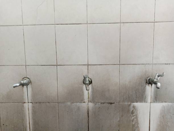 Best Basement water damage restoration  in Diamond Bar, CA